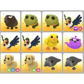 BUNDLE PET X12