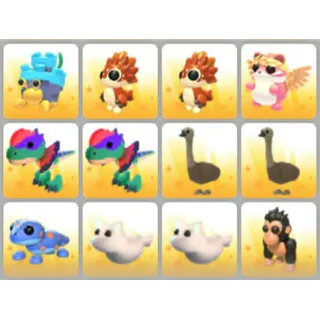BUNDLE PET X12