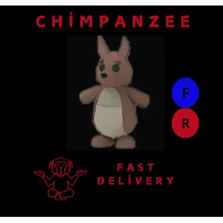 KANGAROO FR