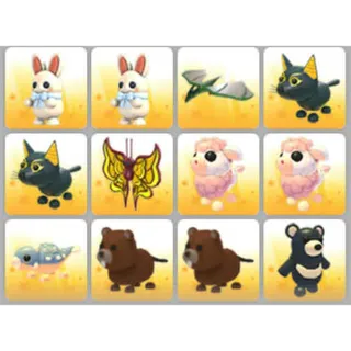BUNDLE PET X12