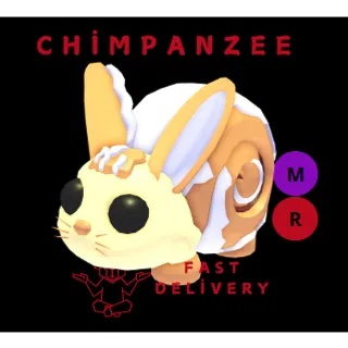 Bunny Swirl MR