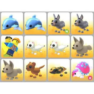BUNDLE PET X12