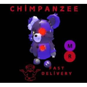 PATCHY BEAR MR