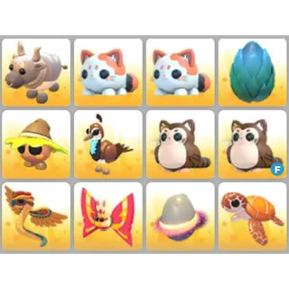 BUNDLE PET X12
