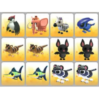 BUNDLE PET X12
