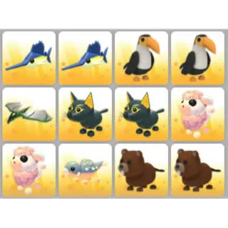 BUNDLE PET X12