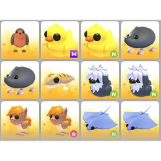 BUNDLE PET X12