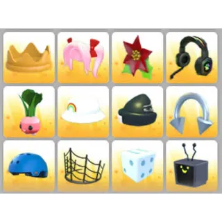 BUNDLE PET WEAR X12