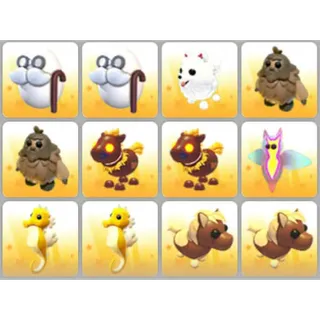 BUNDLE PET X12