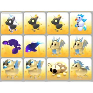 BUNDLE PET X12
