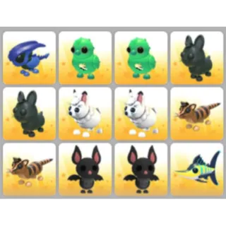 BUNDLE PET X12