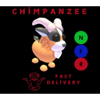 BILLY GOAT NFR