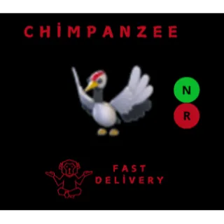 RED CROWNED CRANE NR