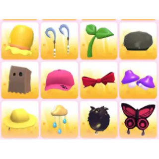 BUNDLE PET WEAR X12