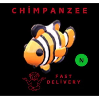 CLOWNFISH NEON