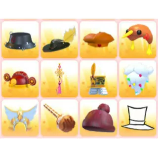 BUNDLE PET WEAR X12