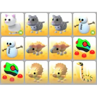 BUNDLE PET X12