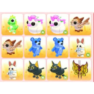 BUNDLE PET X12