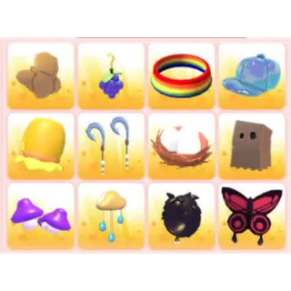 BUNDLE PET WEAR X12