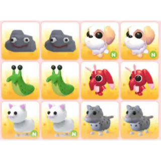 BUNDLE PET X12