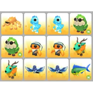 BUNDLE PET X12