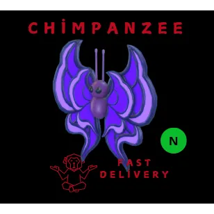 VIOLET BUTTERFLY NEON