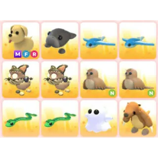 BUNDLE PET X12