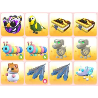 BUNDLE PET X12