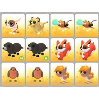 BUNDLE PET X12