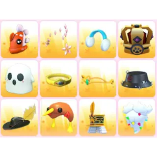 BUNDLE PET WEAR X12