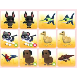 BUNDLE PET X12