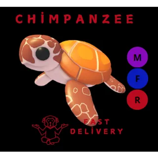 SEA TURTLE MFR