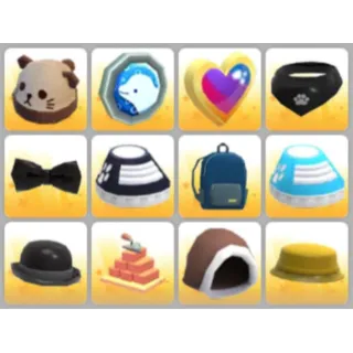 BUNDLE PET WEAR X12