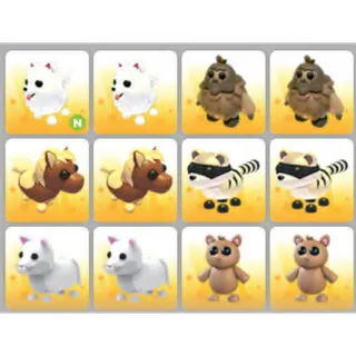 BUNDLE PET X12