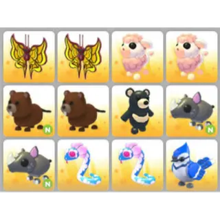 BUNDLE PET X12