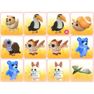 BUNDLE PET X12