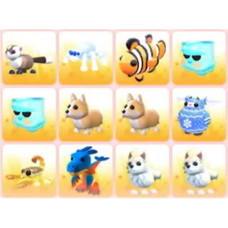 BUNDLE PET X12