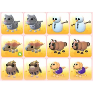 BUNDLE PET X12