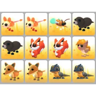BUNDLE PET X12
