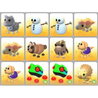BUNDLE PET X12