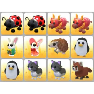 BUNDLE PET X12