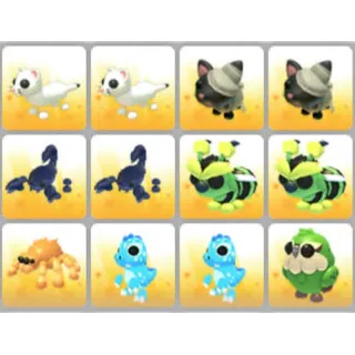 BUNDLE PET X12