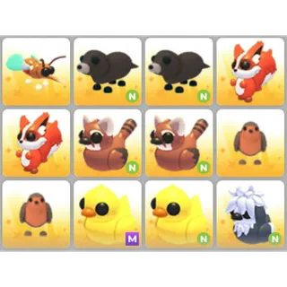 BUNDLE PET X12