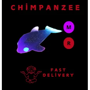Glormy Dolphin MR