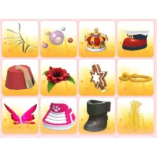 BUNDLE PET WEAR X12