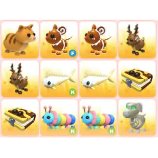 BUNDLE PET X12