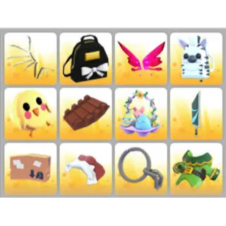 BUNDLE PET WEAR X12