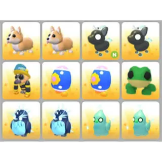 BUNDLE PET X12