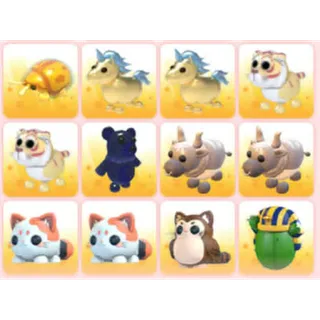 BUNDLE PET X12