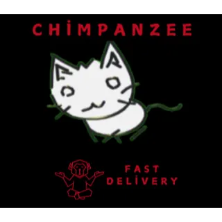 2D KITTY
